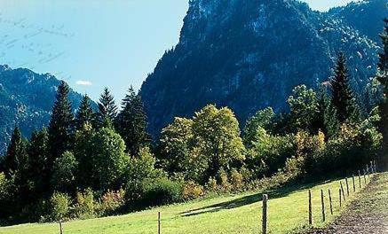 Gaestehaus Enzianhof Garni 3*